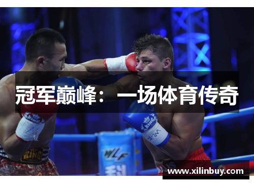 冠军巅峰：一场体育传奇
