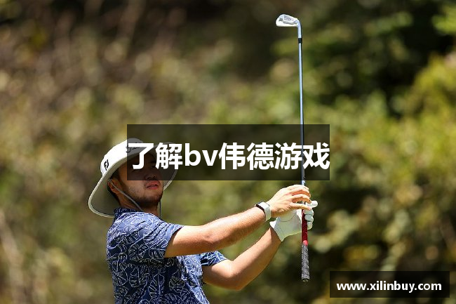 了解bv伟德游戏